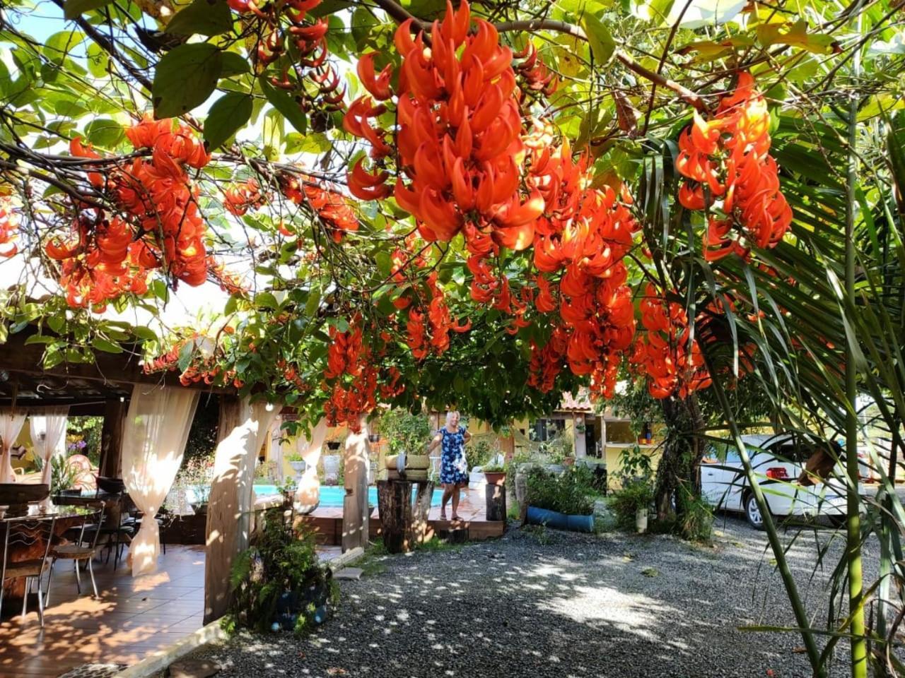 Pousada Cantinho De Casa ノブレス エクステリア 写真